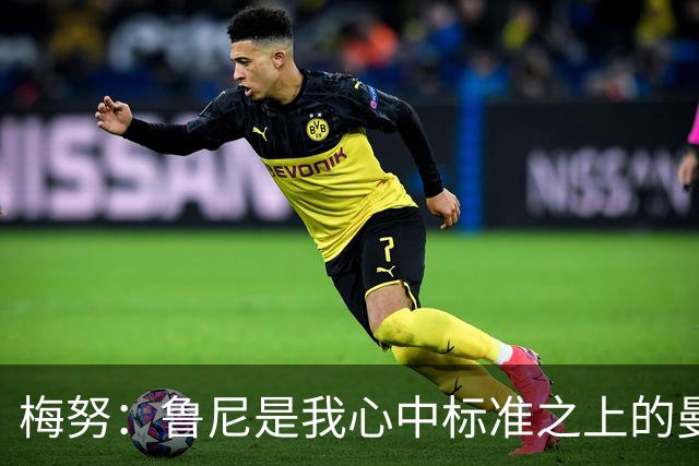 梅努：鲁尼是我心中标准之上的曼联球员 卡塞米罗和B费帮助我更多